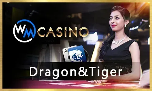 Bingo on Mobile App